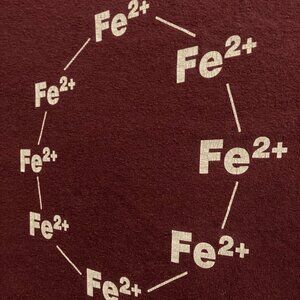 ThinkGeek maroon ferrous wheel t-shirt size M